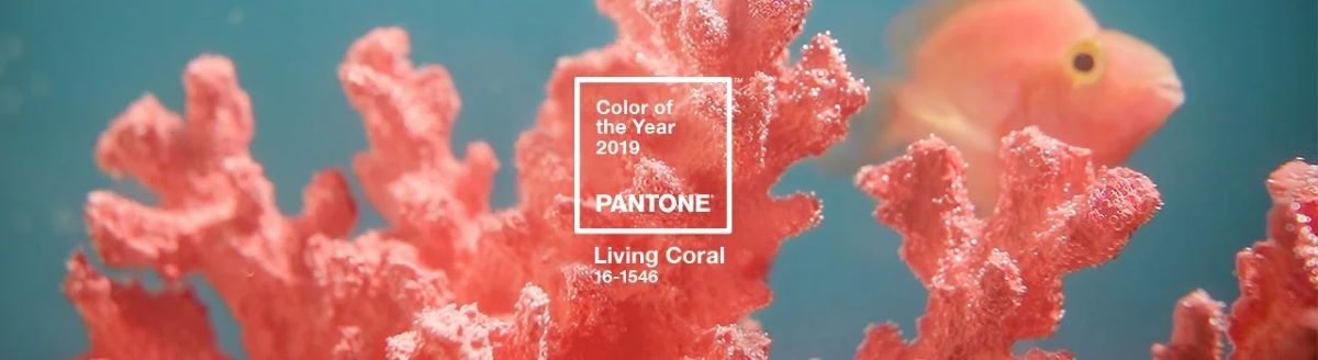 Living Coral byla barvou roku 2019